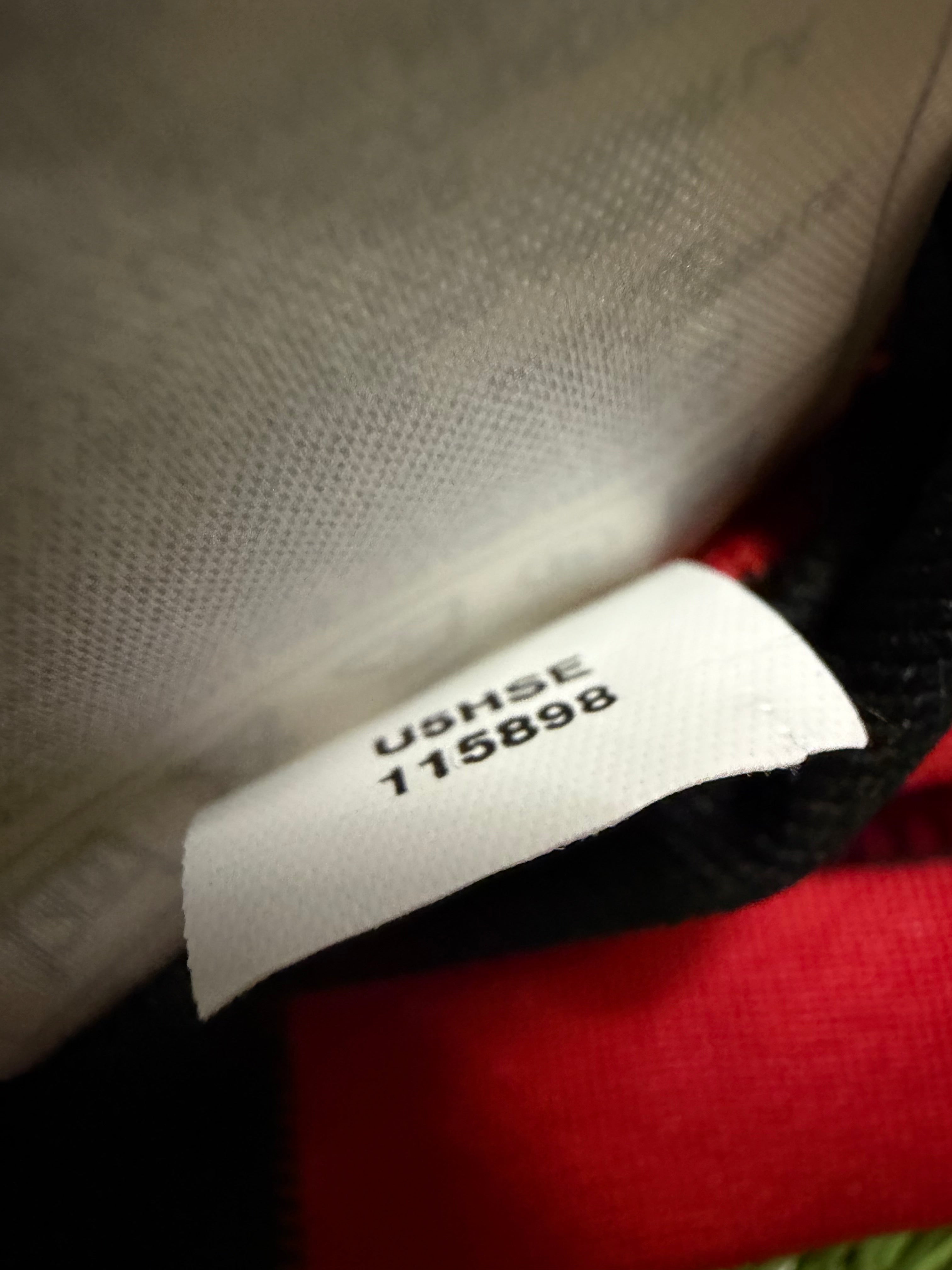 SpVgg Erkenschwick 1916 2005/2005