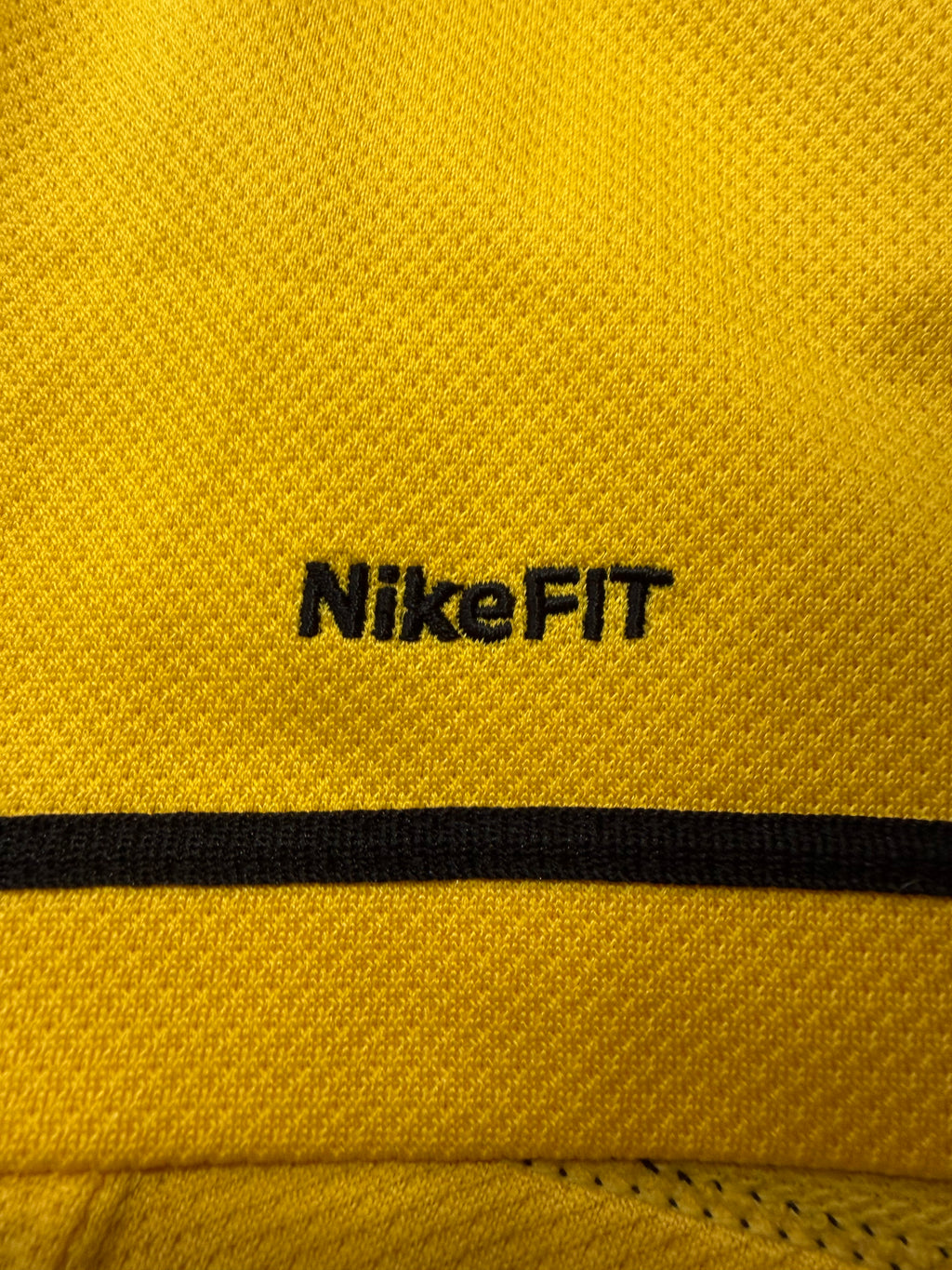 BVB Borussia Dortmund 2007/2008