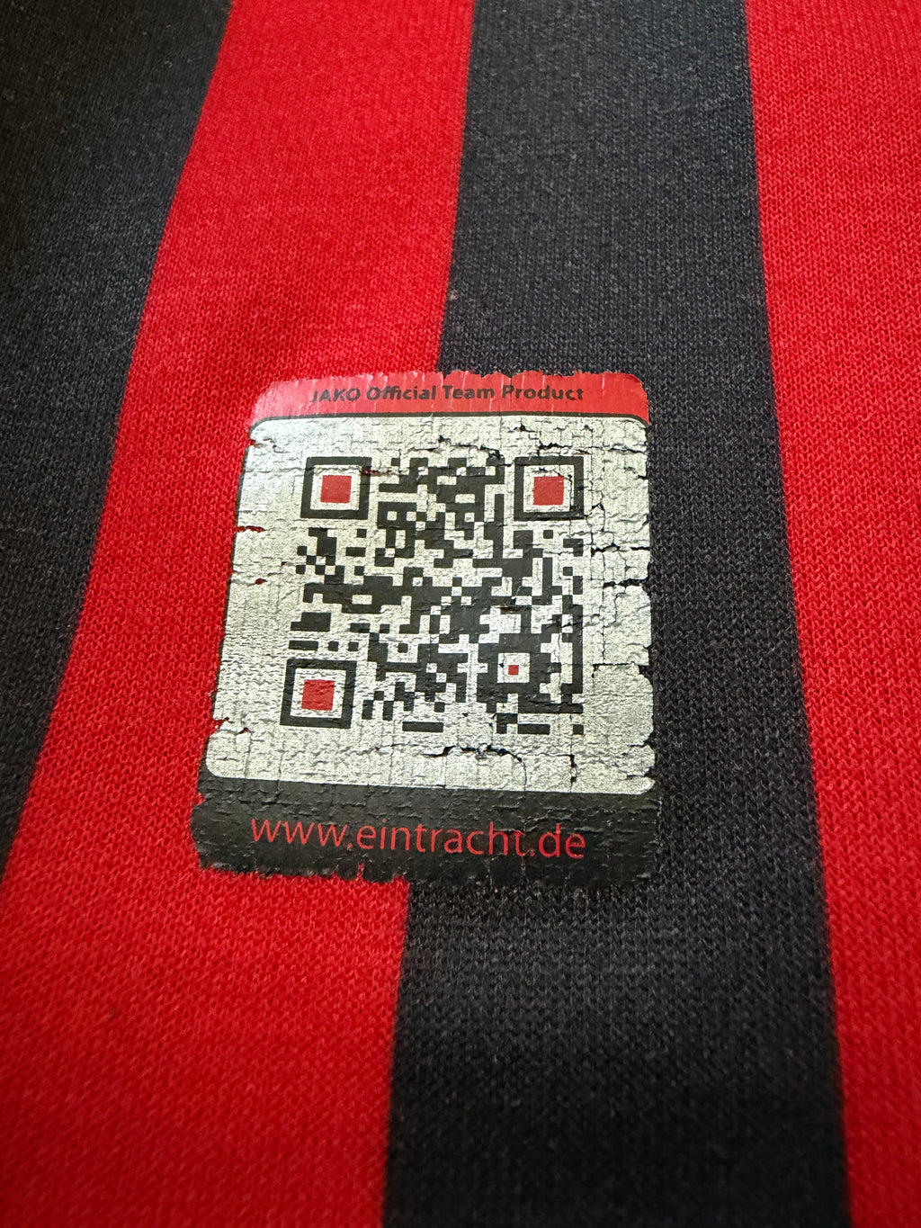 Eintracht Frankfurt 2012/2013