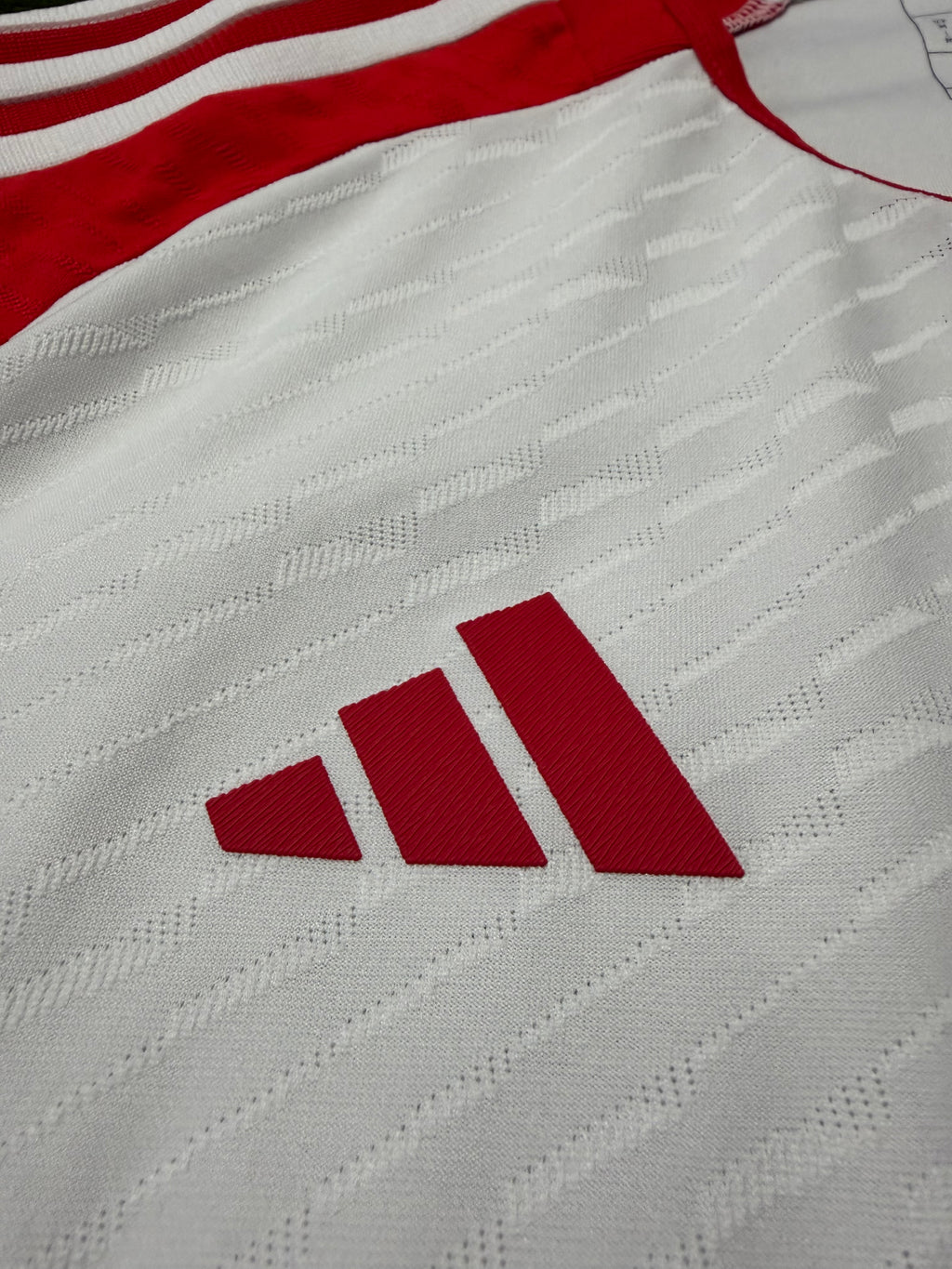 FC Bayern München 2023/2024 Authentic #13 Eric-Maxim Chupo-Moting
