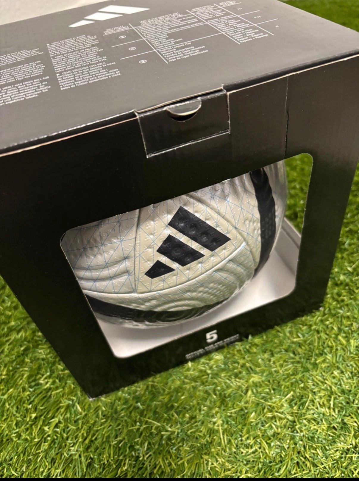 Roteiro Pro OMB EM 2004