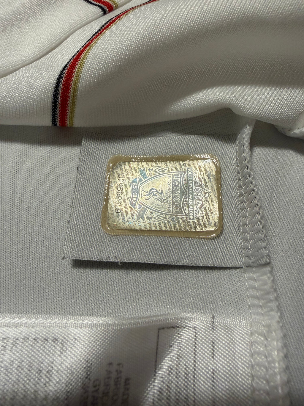 Liverpool FC 2010/2011