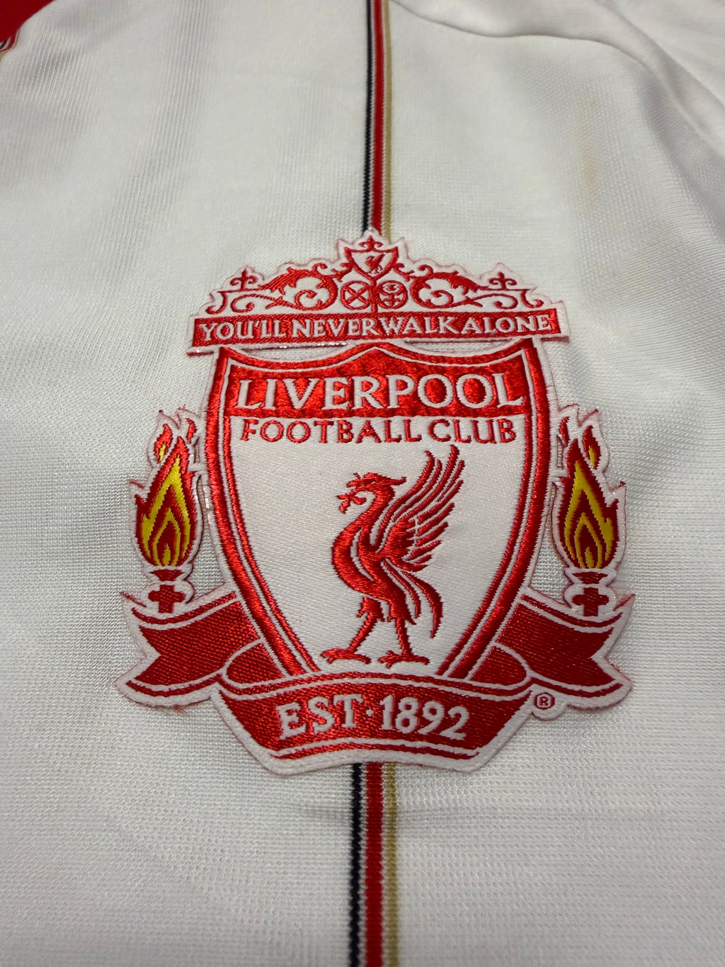 Liverpool FC 2010/2011