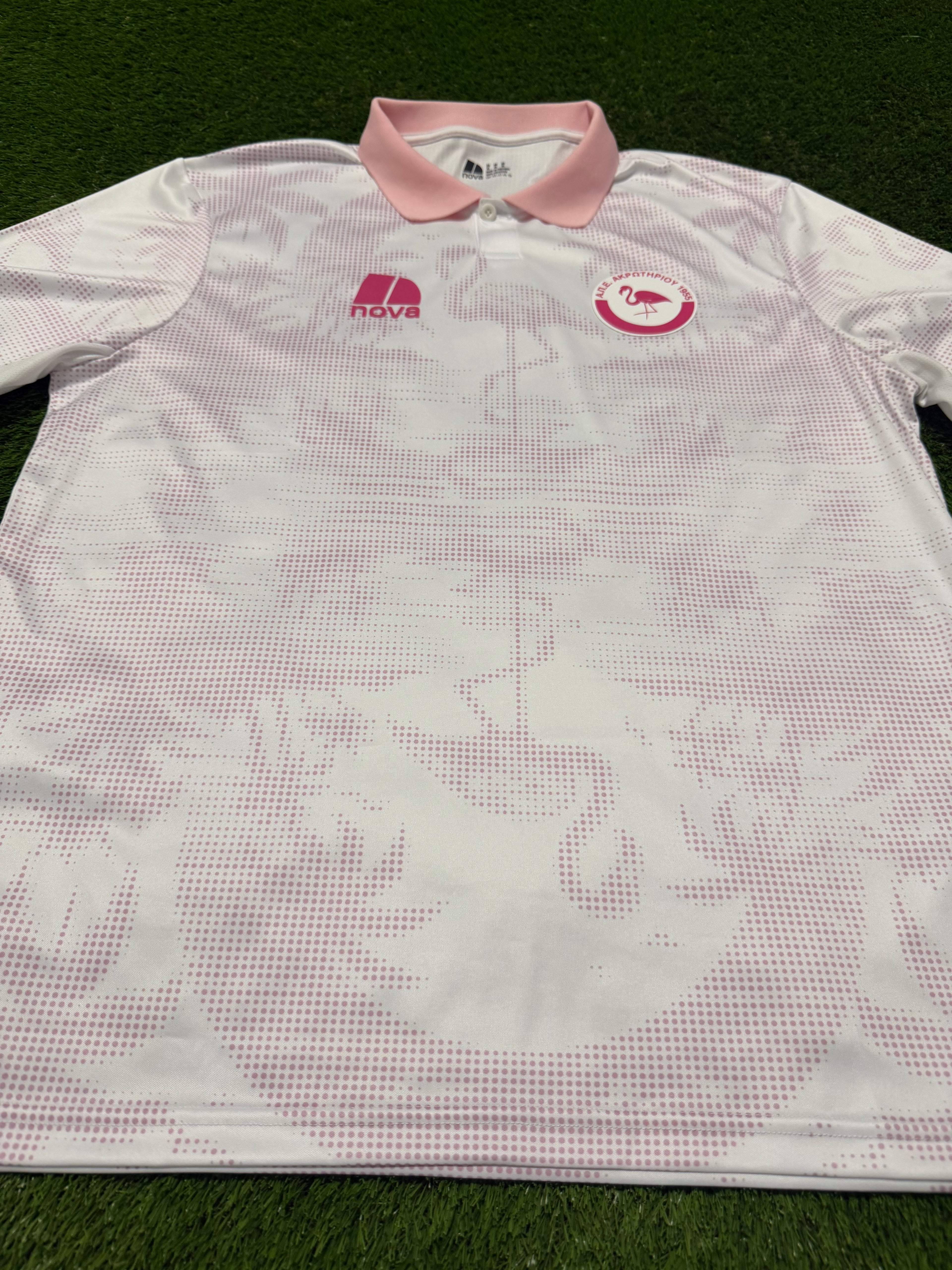 APEA Akrotiriou ,,The Flamingos“ 2024/2025