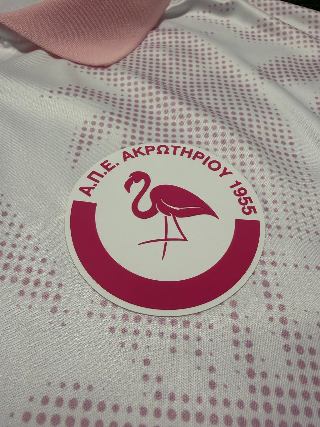 APEA Akrotiriou ,,The Flamingos“ 2024/2025