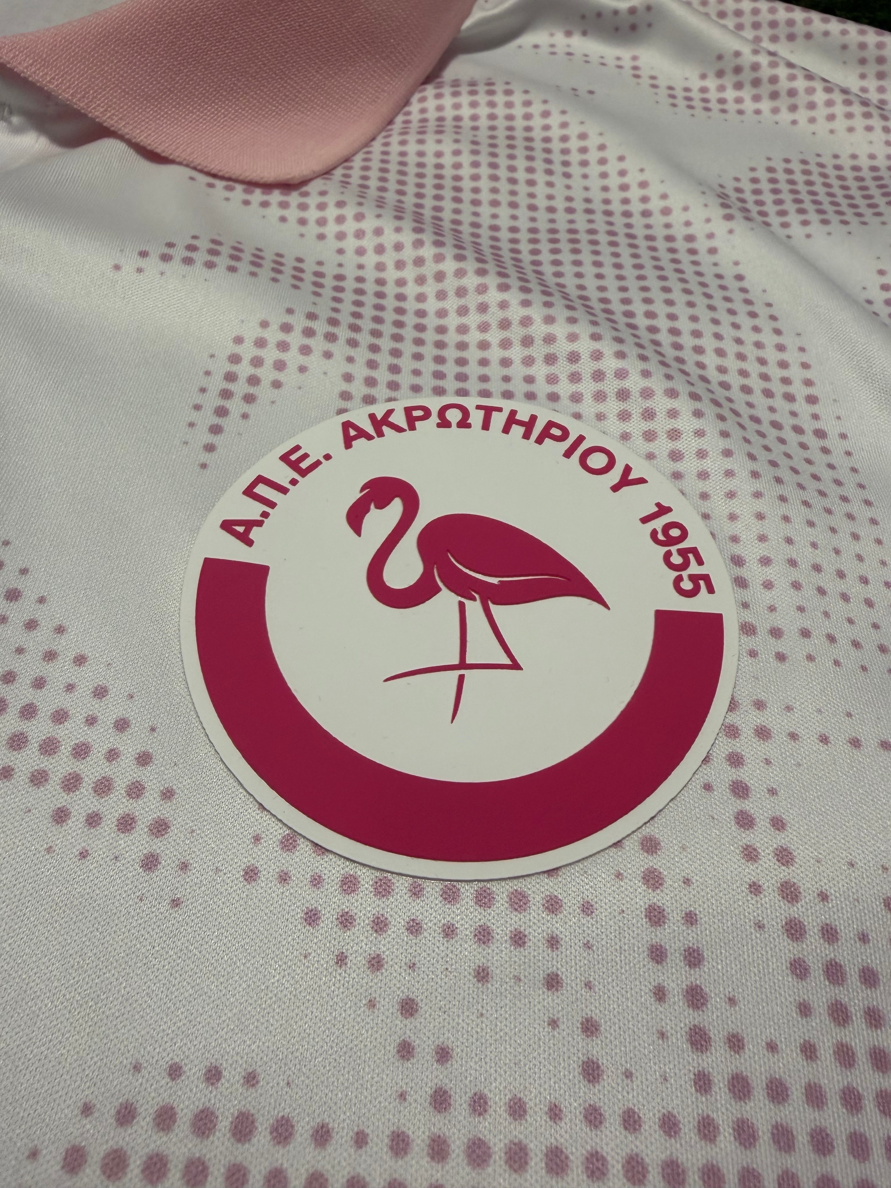 APEA Akrotiriou ,,The Flamingos“ 2024/2025