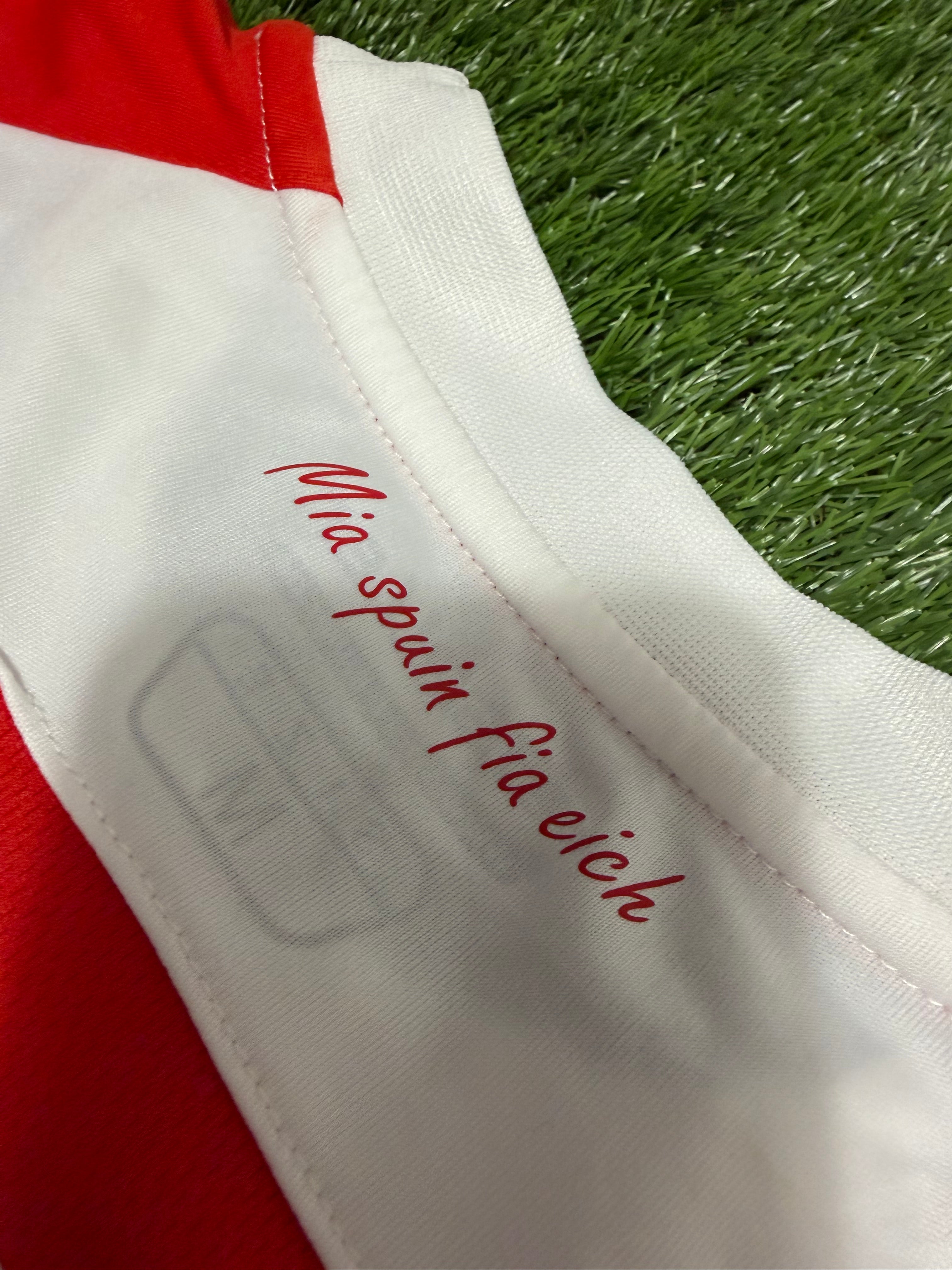 SSV Jahn Regensburg 2016/2017