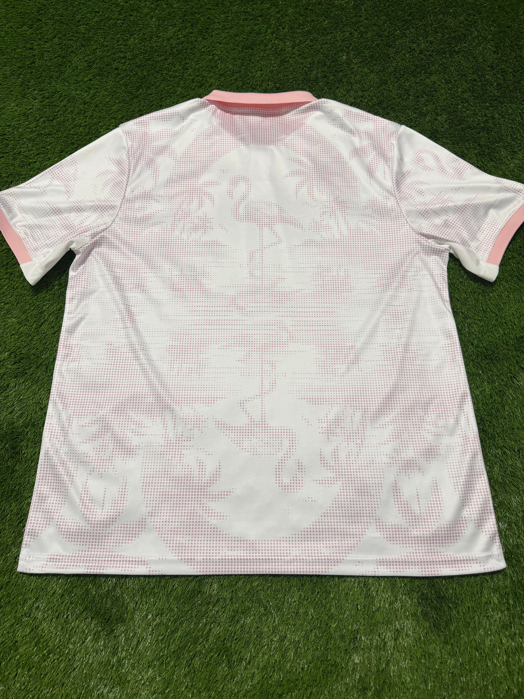 APEA Akrotiriou ,,The Flamingos“ 2024/2025