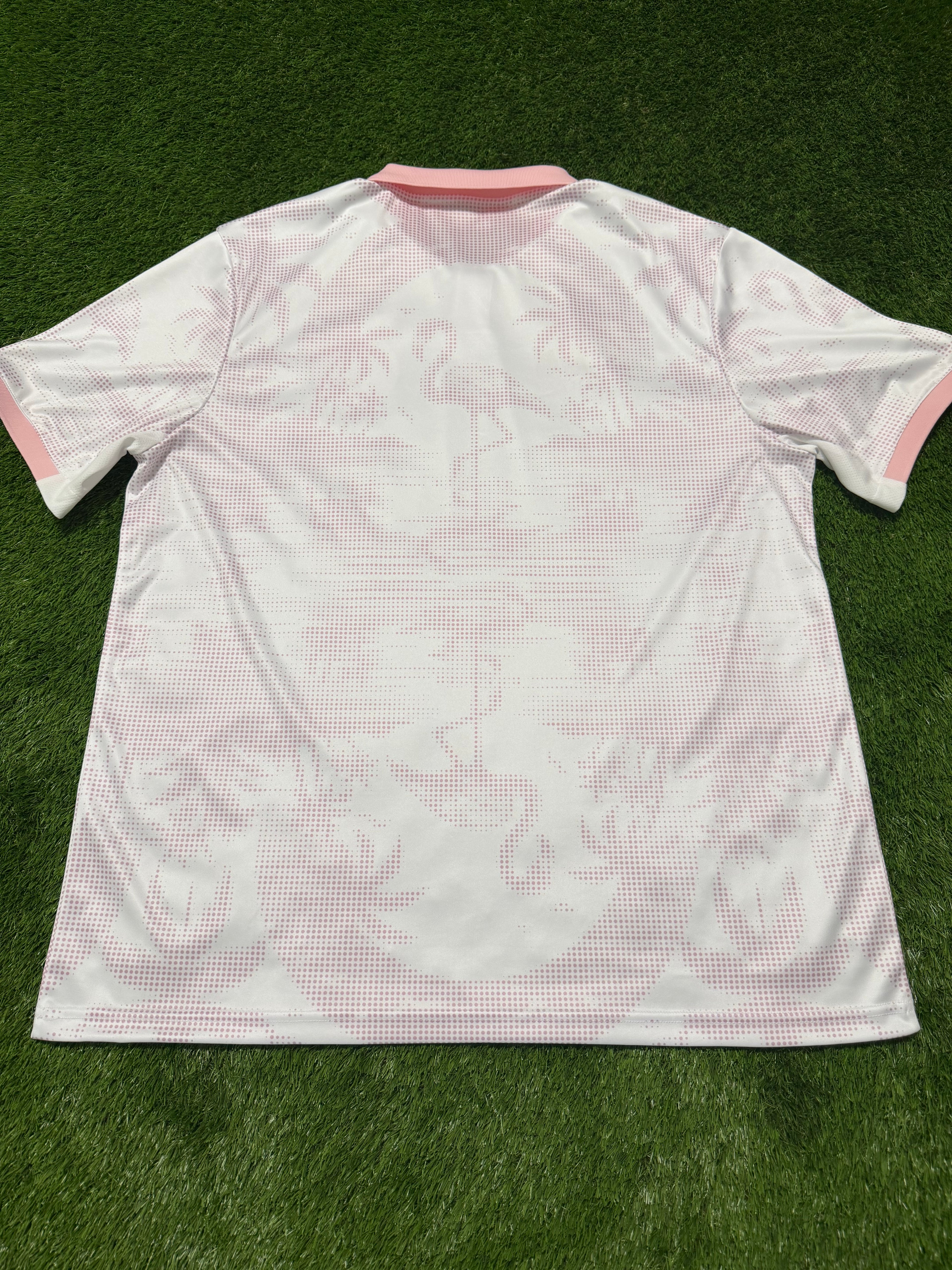 APEA Akrotiriou ,,The Flamingos“ 2024/2025