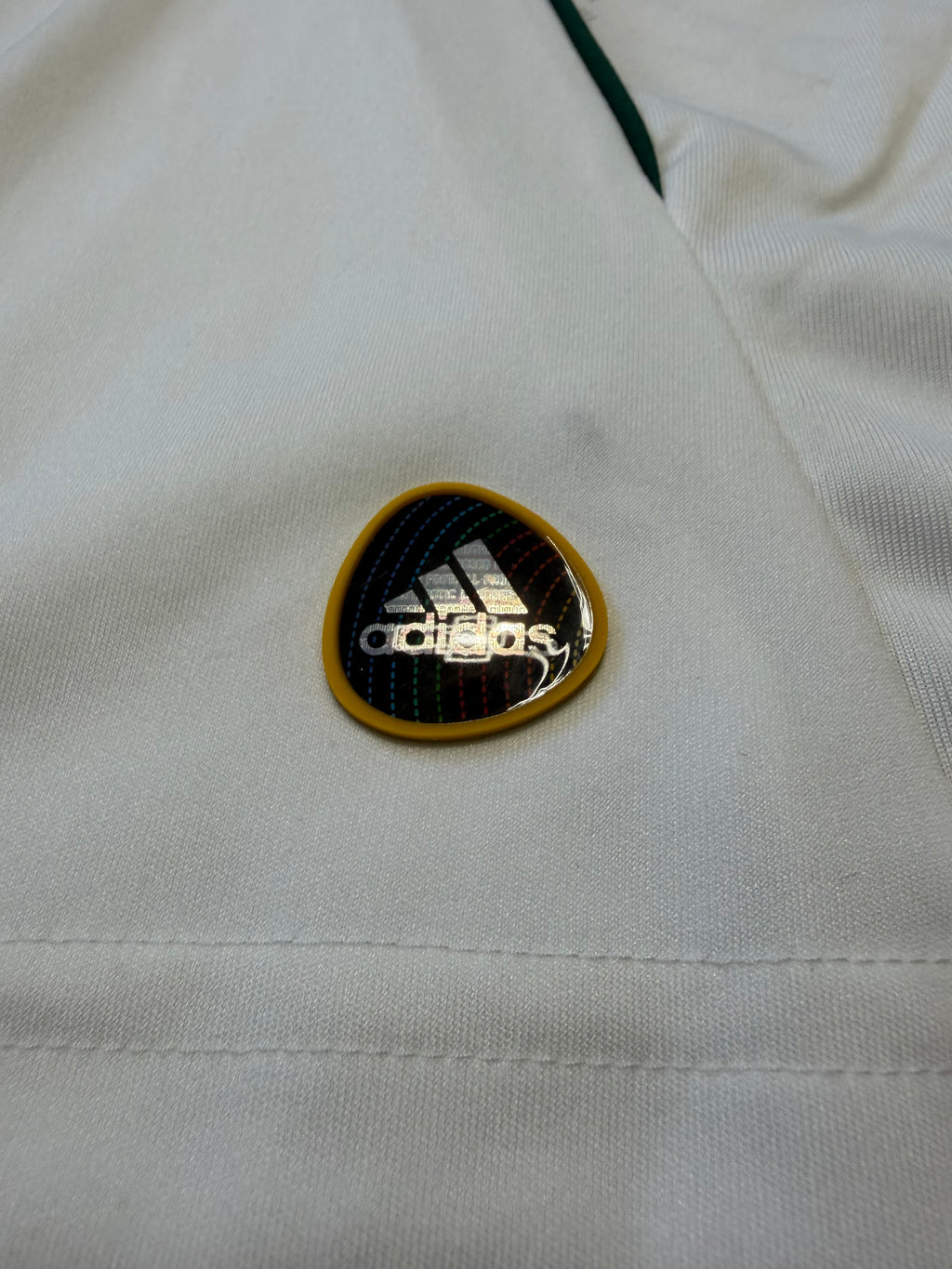 VFL Wolfsburg 2010/2011