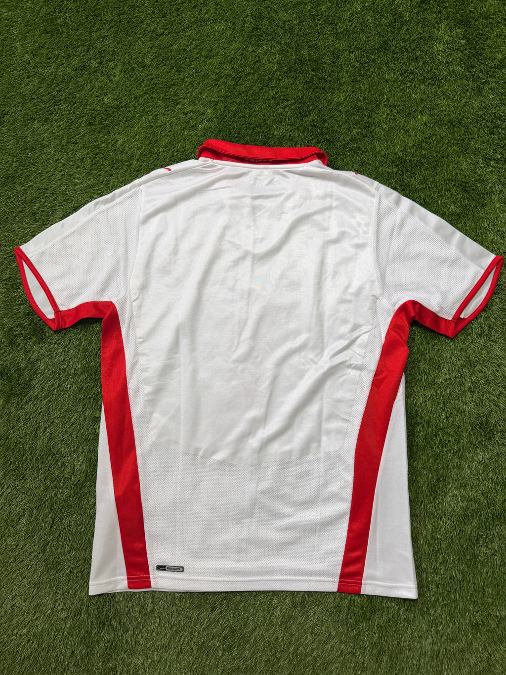 Schweiz 2008