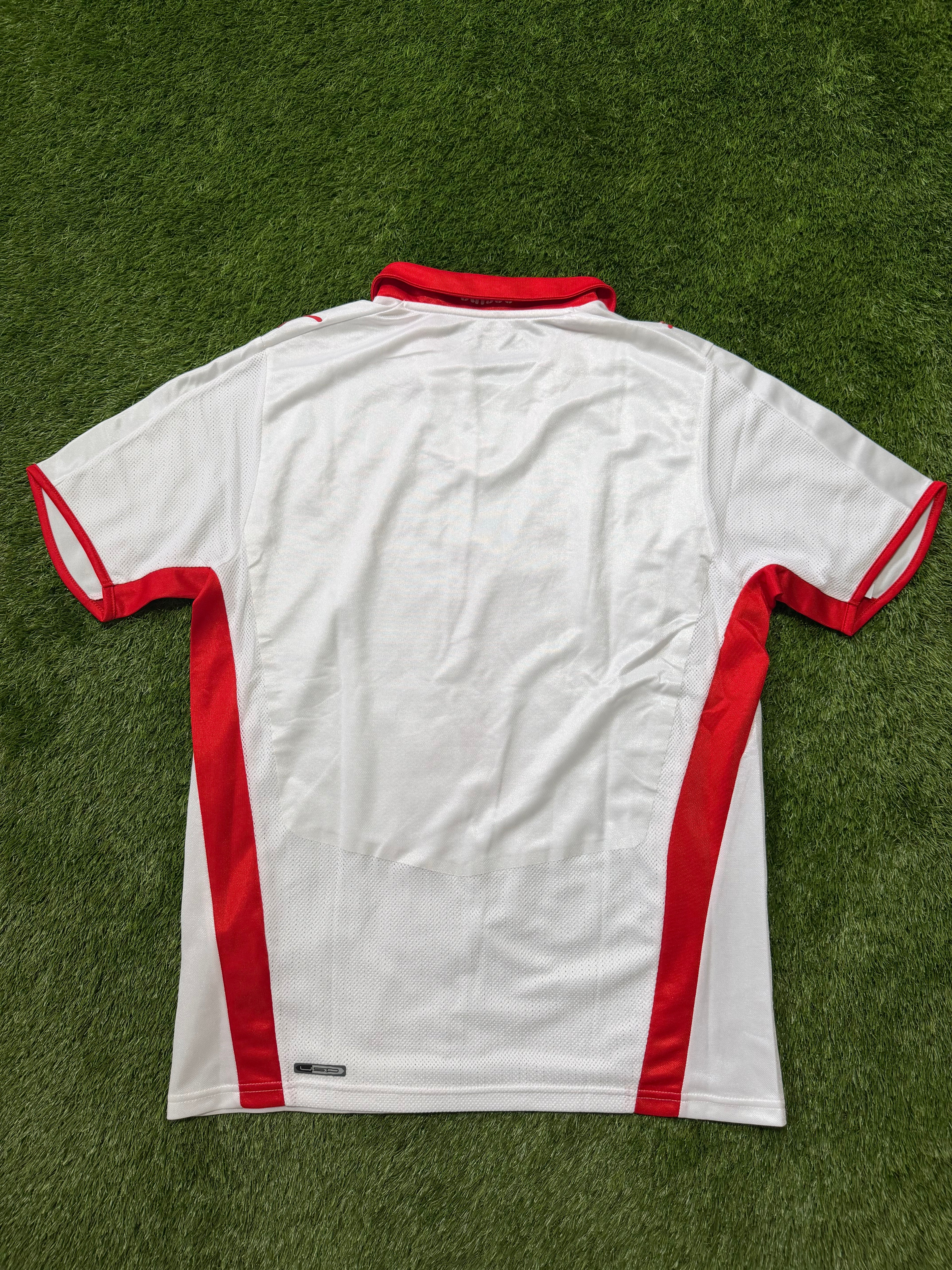 Schweiz 2008