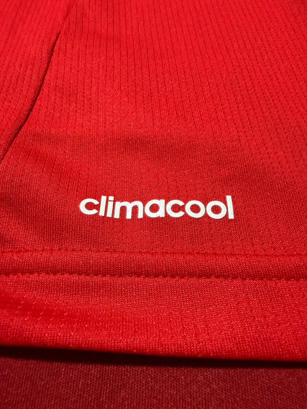 FC Bayern München 2015/2016 #10 Arjen Robben