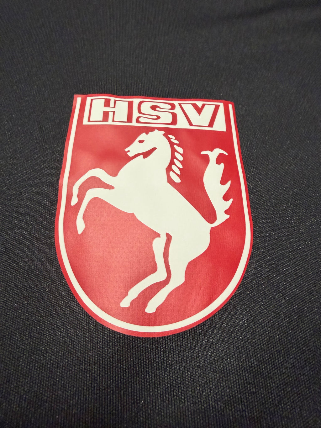 Hammer SpVg 2010er Spielertrikot #9 Wassinger