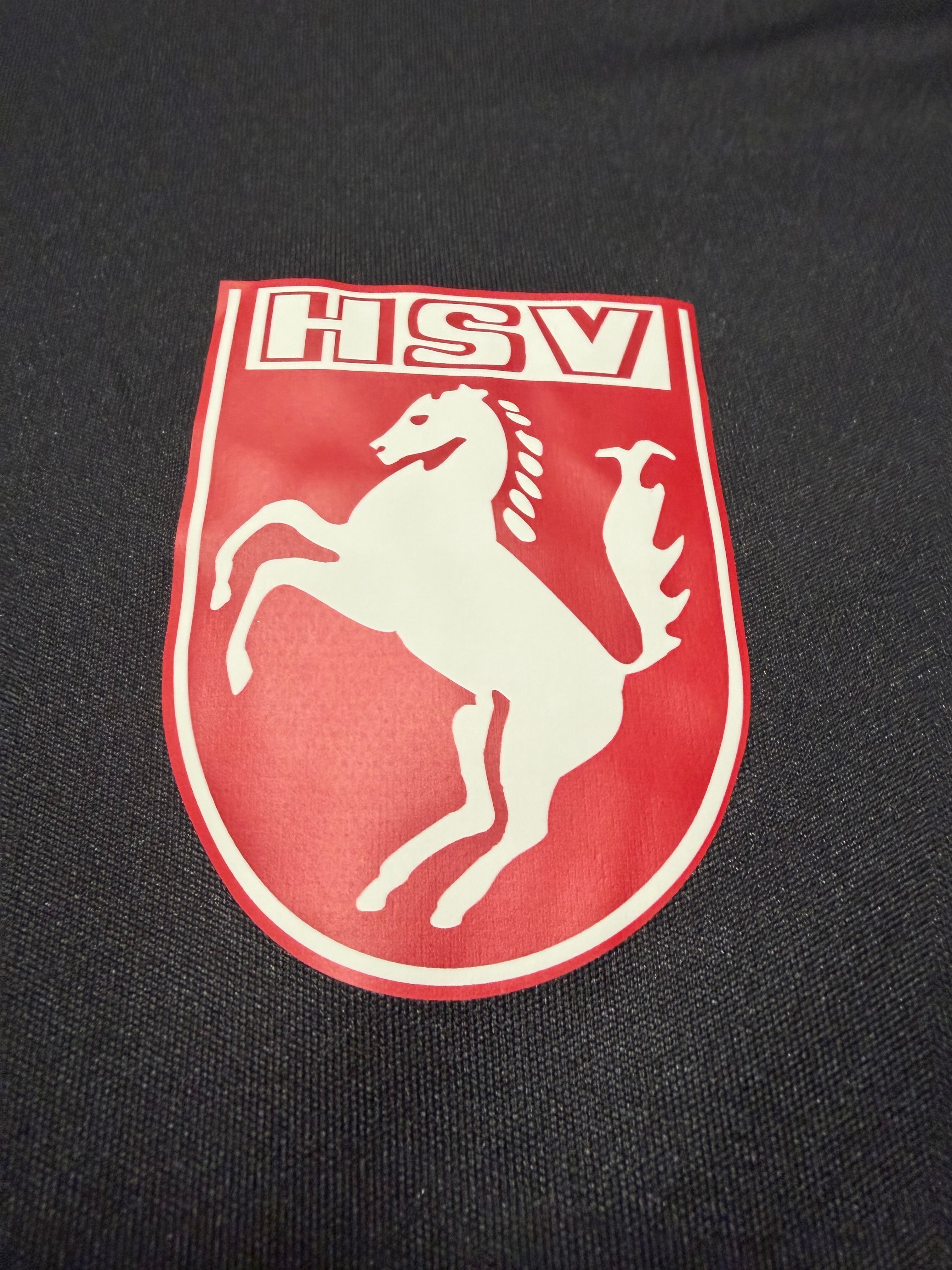 Hammer SpVg 2010er Spielertrikot #9 Wassinger