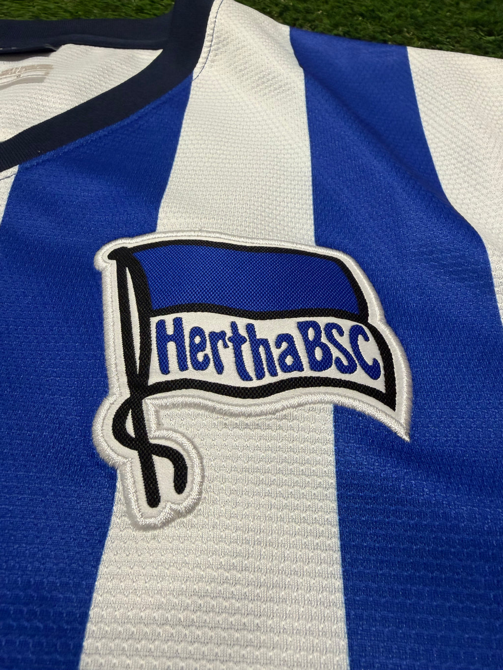 Hertha BSC 2013/2014