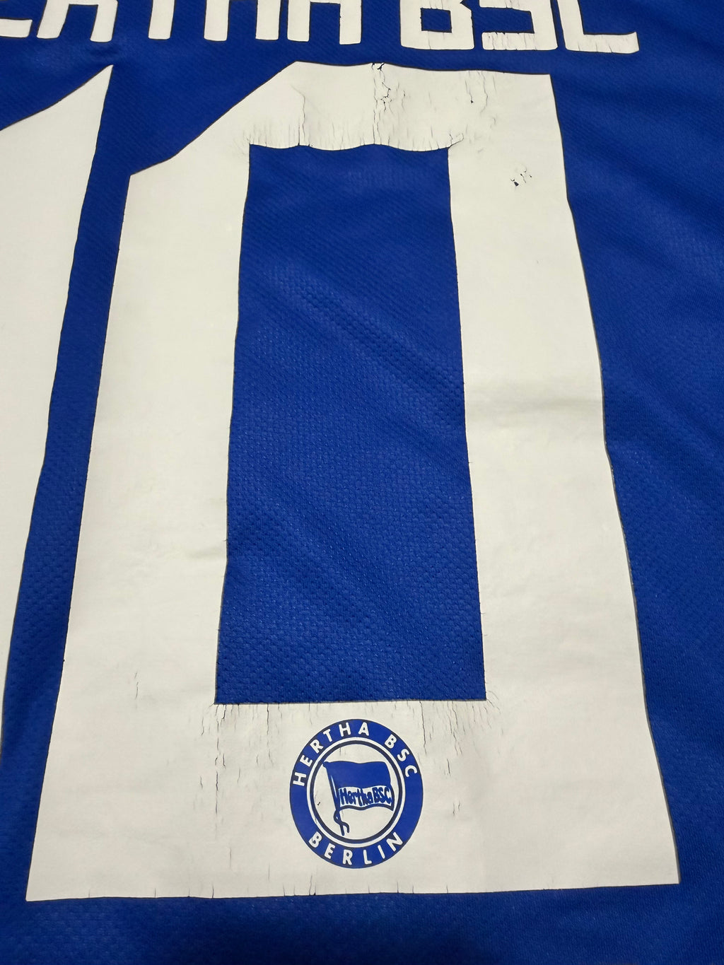 Hertha BSC 2010/2011 #10 Raffael