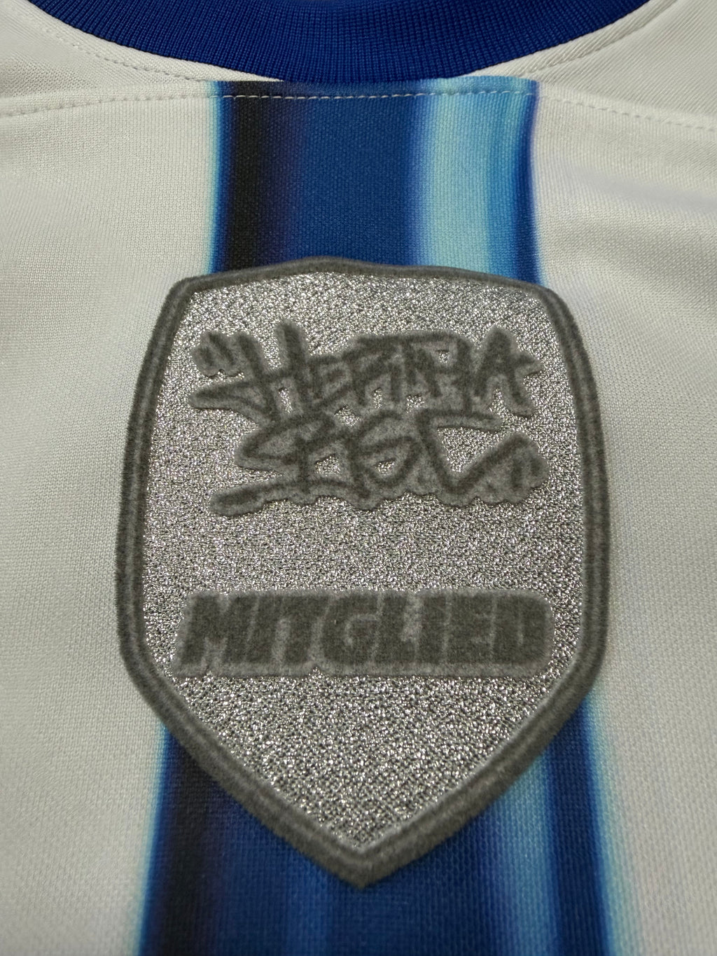 Hertha BSC 2023/2024