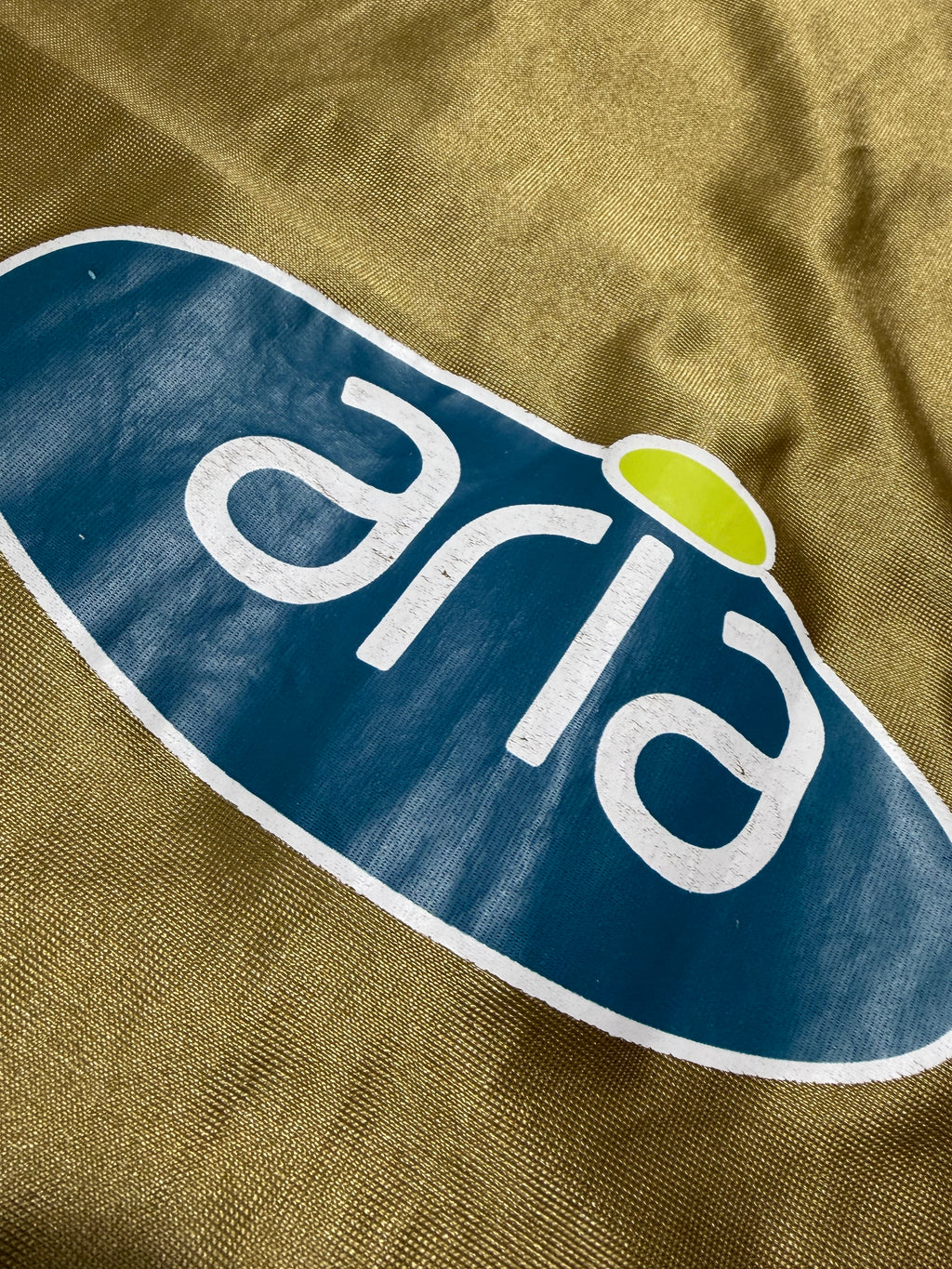 Galatasaray Istanbul 2002/2003