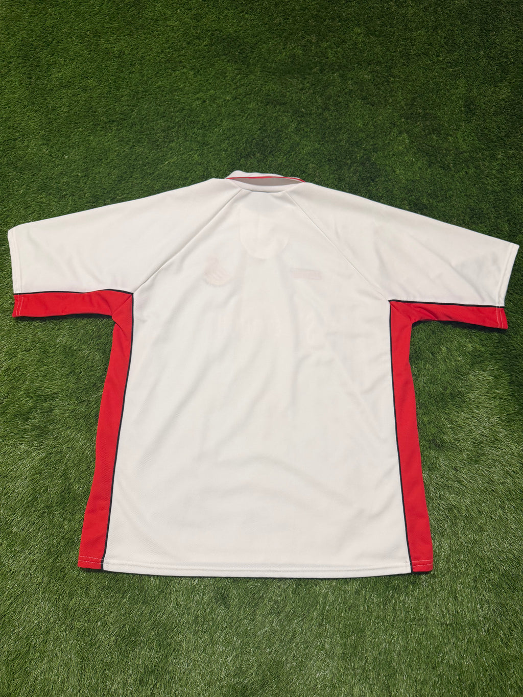 Swansea City AFC 2000/2001