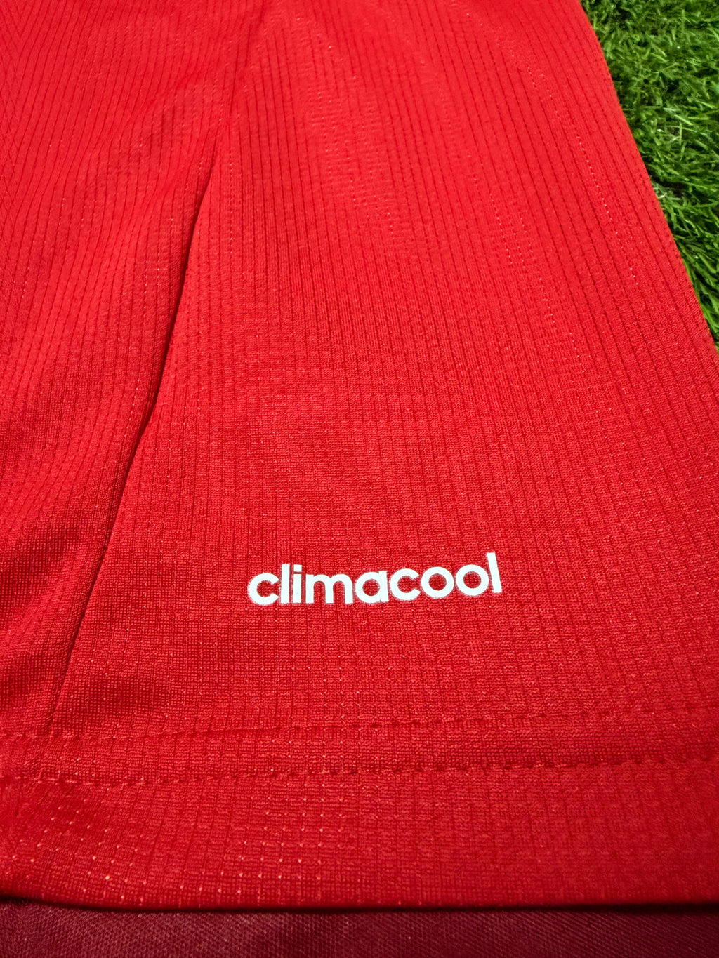 FC Bayern München 2015/2016