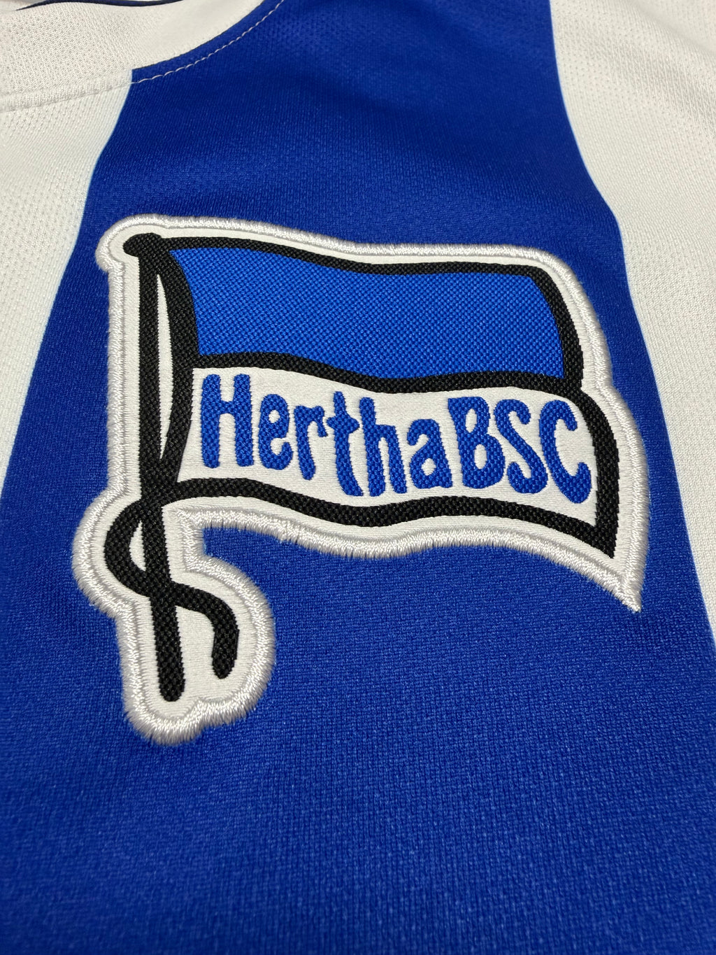 Hertha BSC 2014/2015