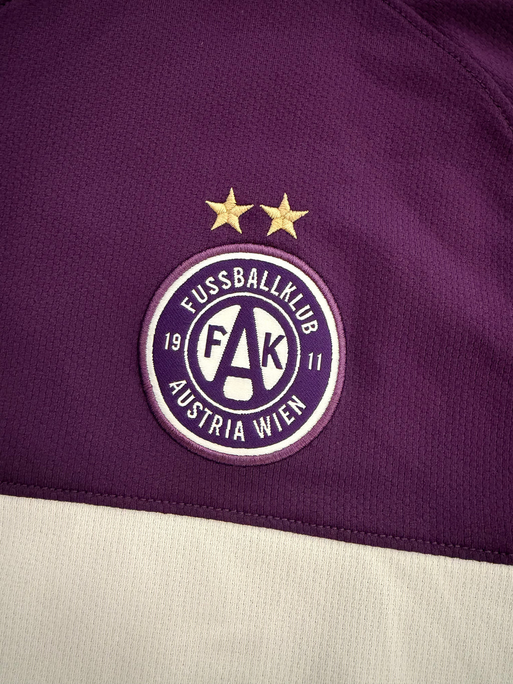 Austria Wien Saison 2008/2009