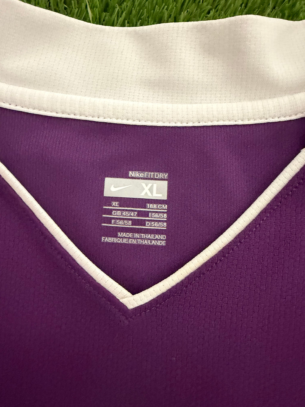 Austria Wien Saison 2008/2009