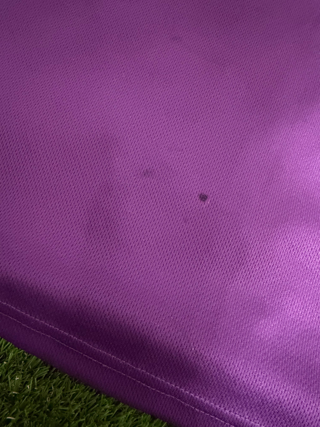 Austria Wien Saison 2008/2009