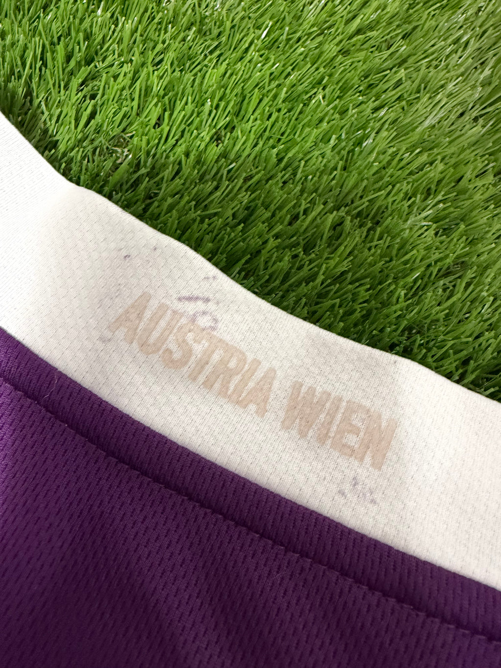 Austria Wien Saison 2008/2009